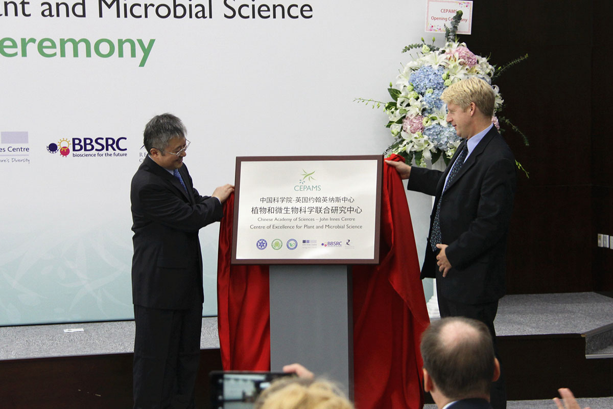 Launch of Shanghai Laboratory Bolsters UK-China Scientific Collaboration