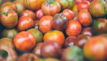 anda-ambrosini-36101-unsplash