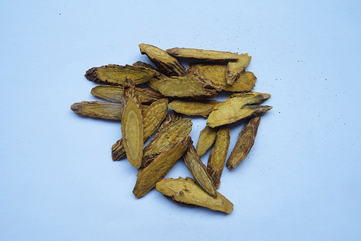 Scutellaria-rootsmall Scutellaria-rootsmall