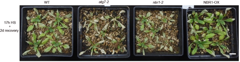 Figure 3-1 Figure 3-1
